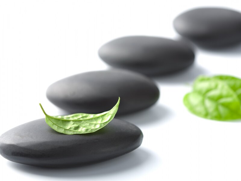 Green Leaf on Black Stones — Serene