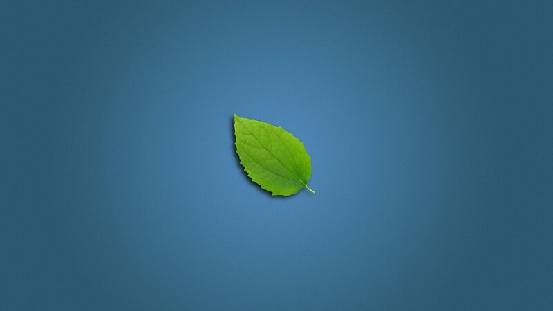 Green Leaf on Blue — Calm