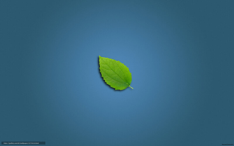 Green Leaf on Blue