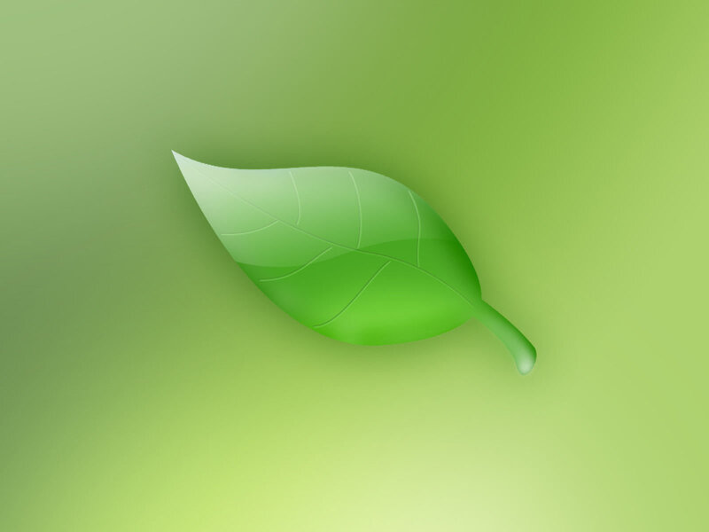 green leaf on gradient background