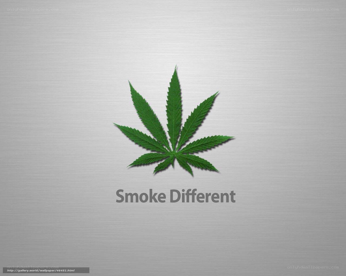 Green leaf on metal background