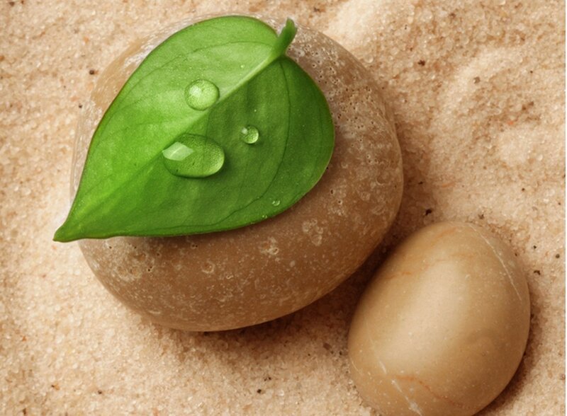Green Leaf on Stone