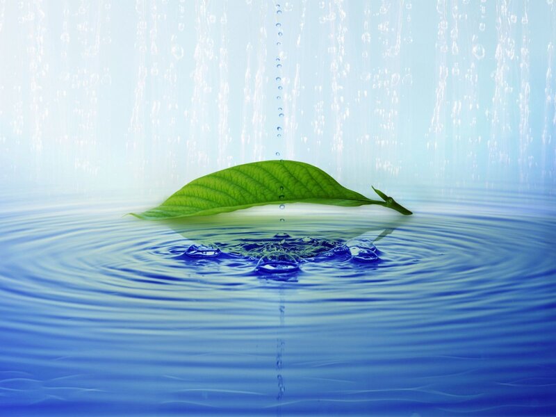 Green Leaf on Water — Blue, Serene