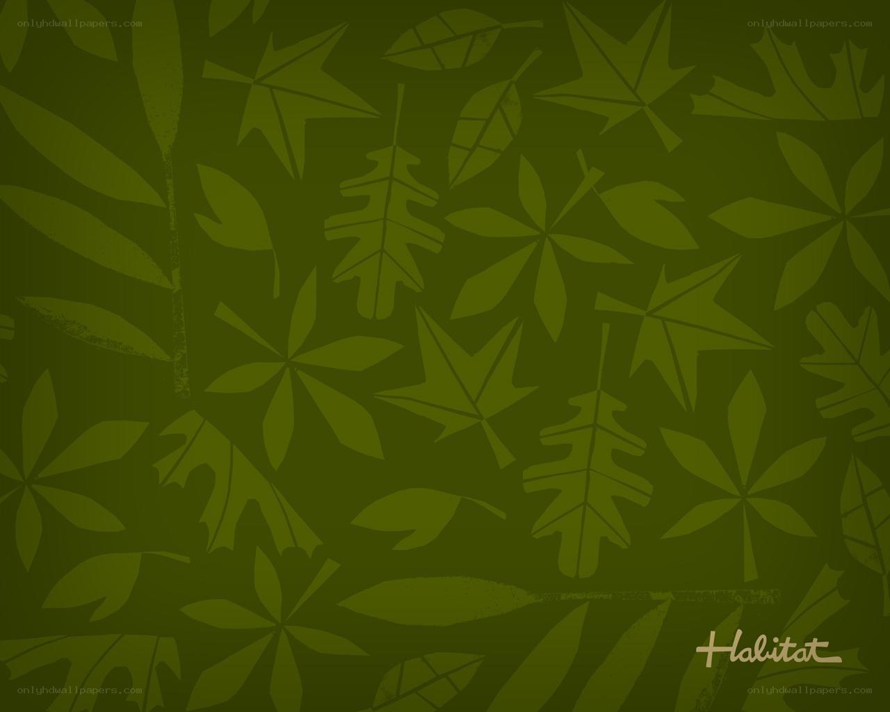 green leaf pattern background