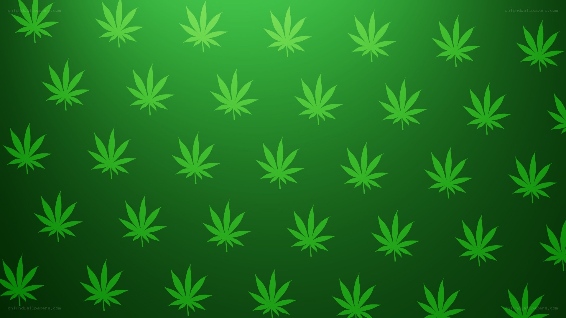 green leaf pattern background