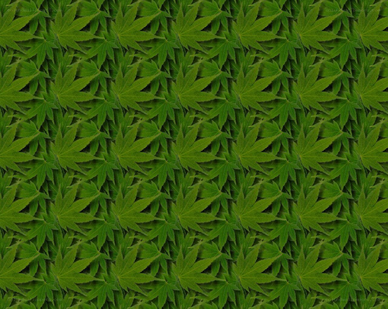 green leaf pattern background