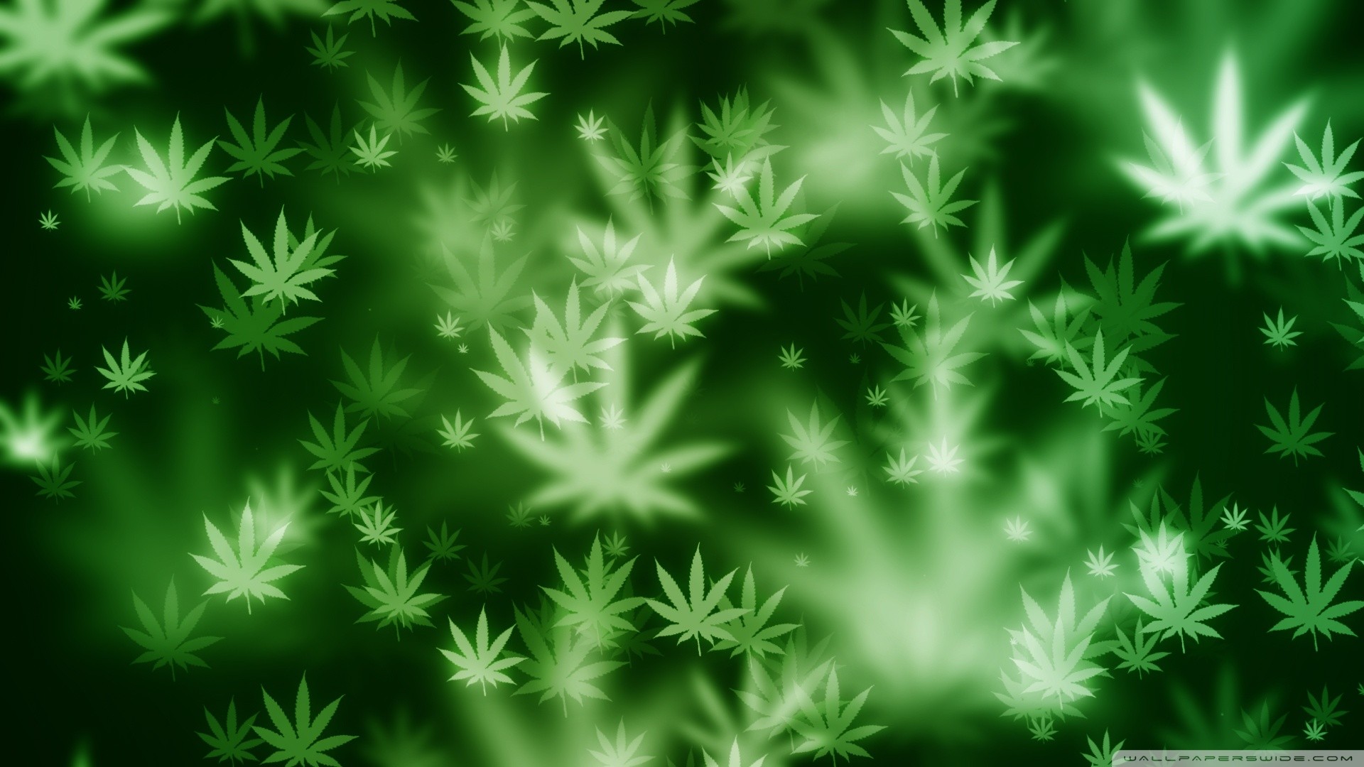 green leaf pattern background