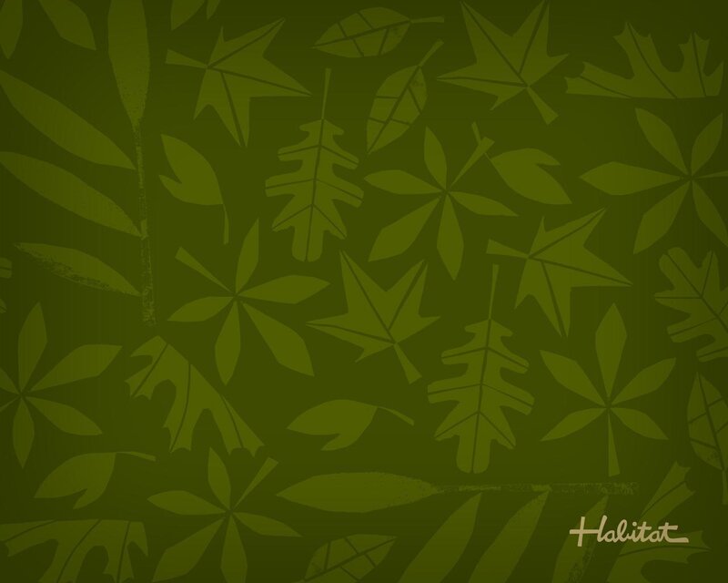 Green Leaf Pattern — Calm, Illustration