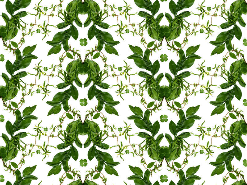 Green Leaf Pattern — Calm, Photograph