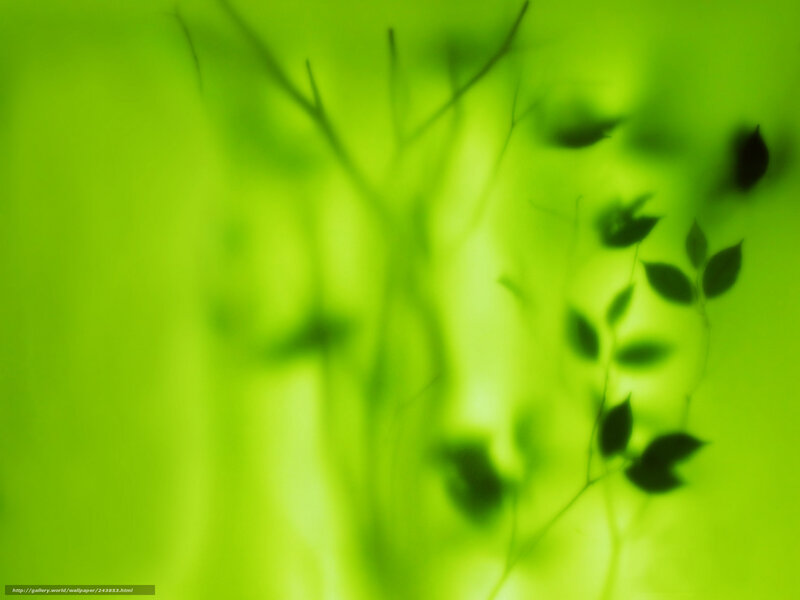 Green leaf shadows