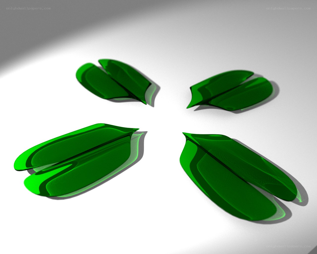 green leaf shapes on white