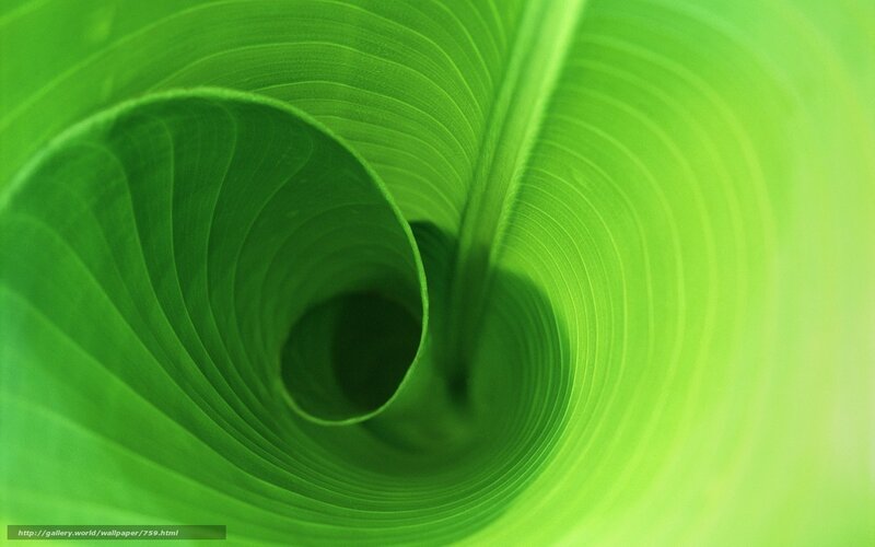 green leaf spiral tunnel