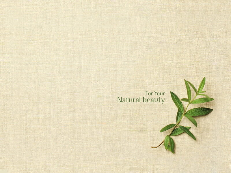 Green Leaf Sprig
