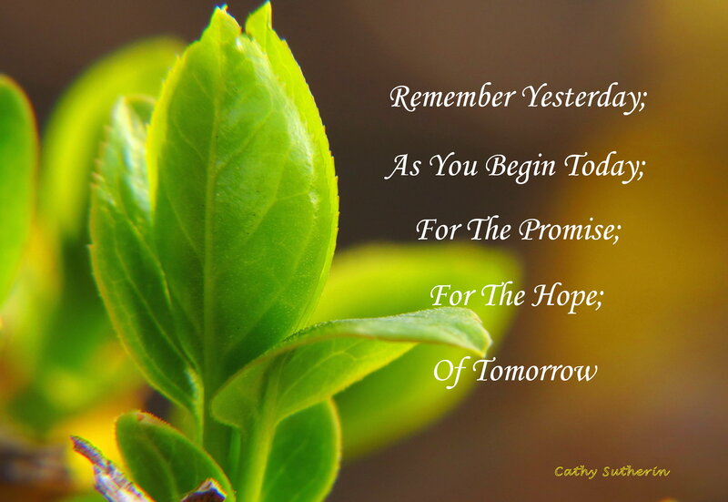 Green Leaf Sprout — Hopeful