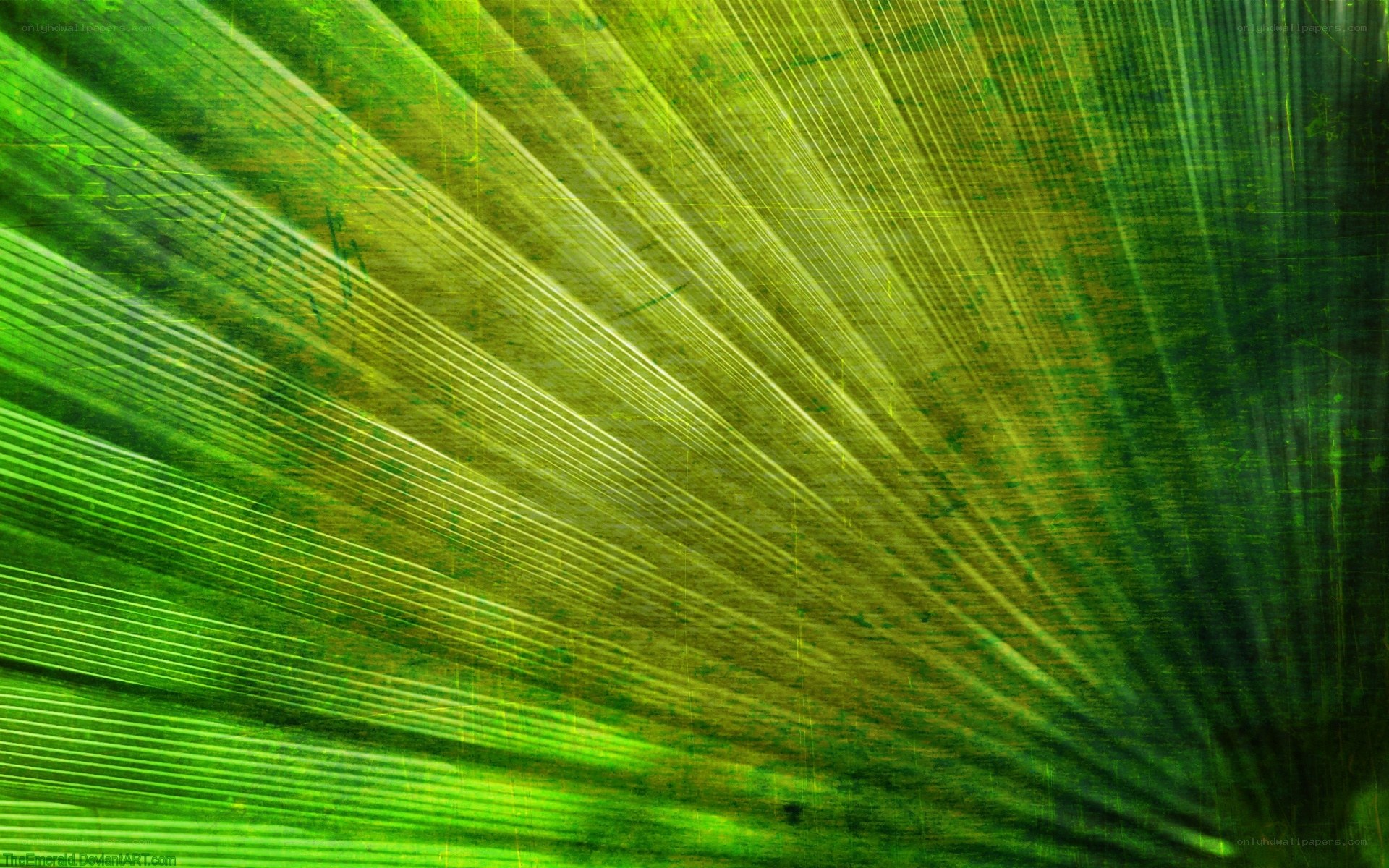Green leaf texture background