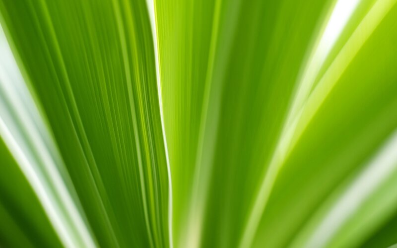 green leaf texture close-up