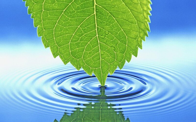 Green Leaf Touching Water — Serene, Photograph, Ripples, Blue, White