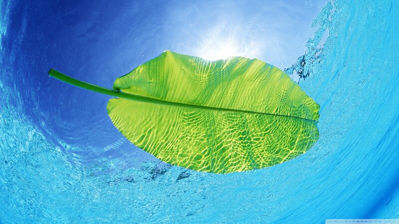Green Leaf Underwater — Blue, Serene