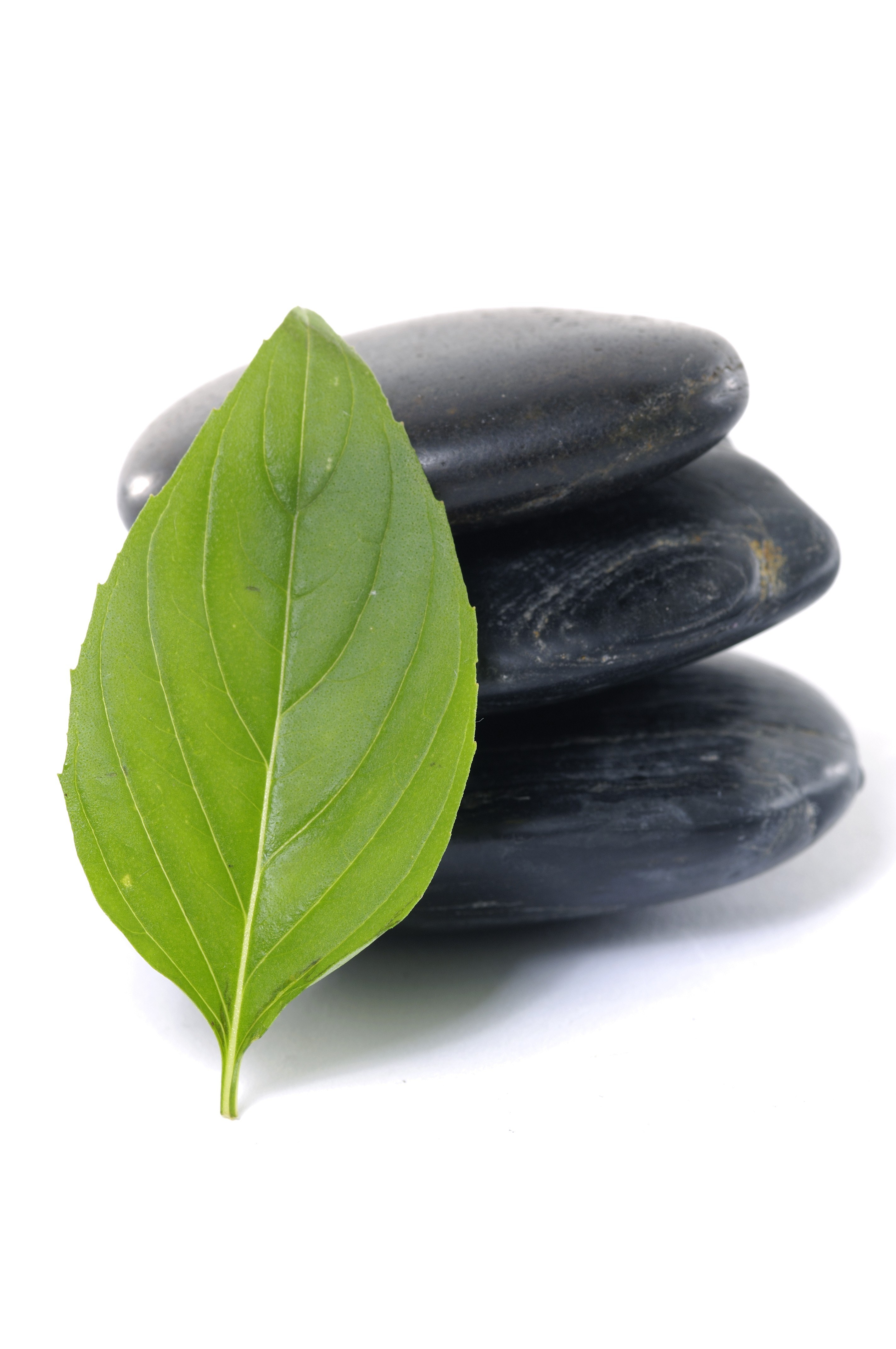 green leaf with black stones