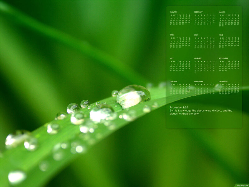green leaf with dew drops