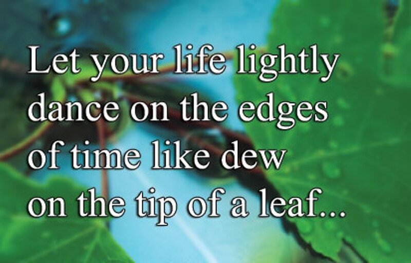 Green Leaf with Dew