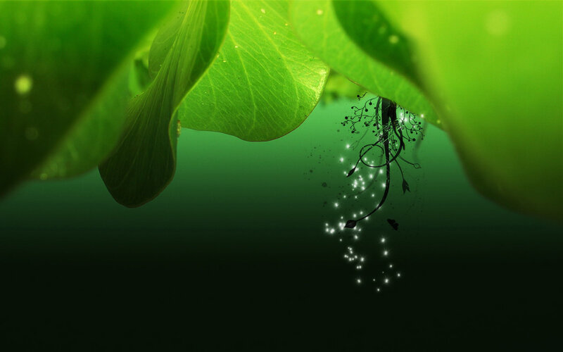 green leaf with glowing particles