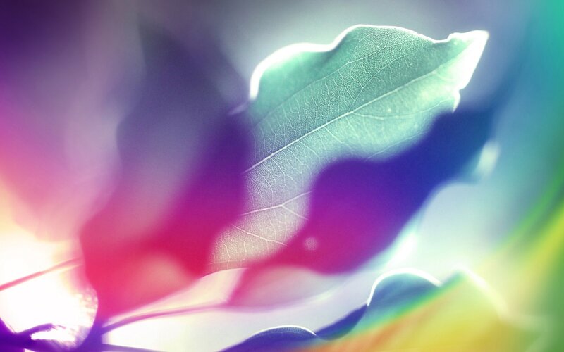 Green Leaf with Light Effects — Dreamy
