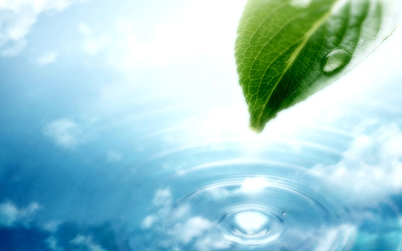 Green Leaf with Water Drop