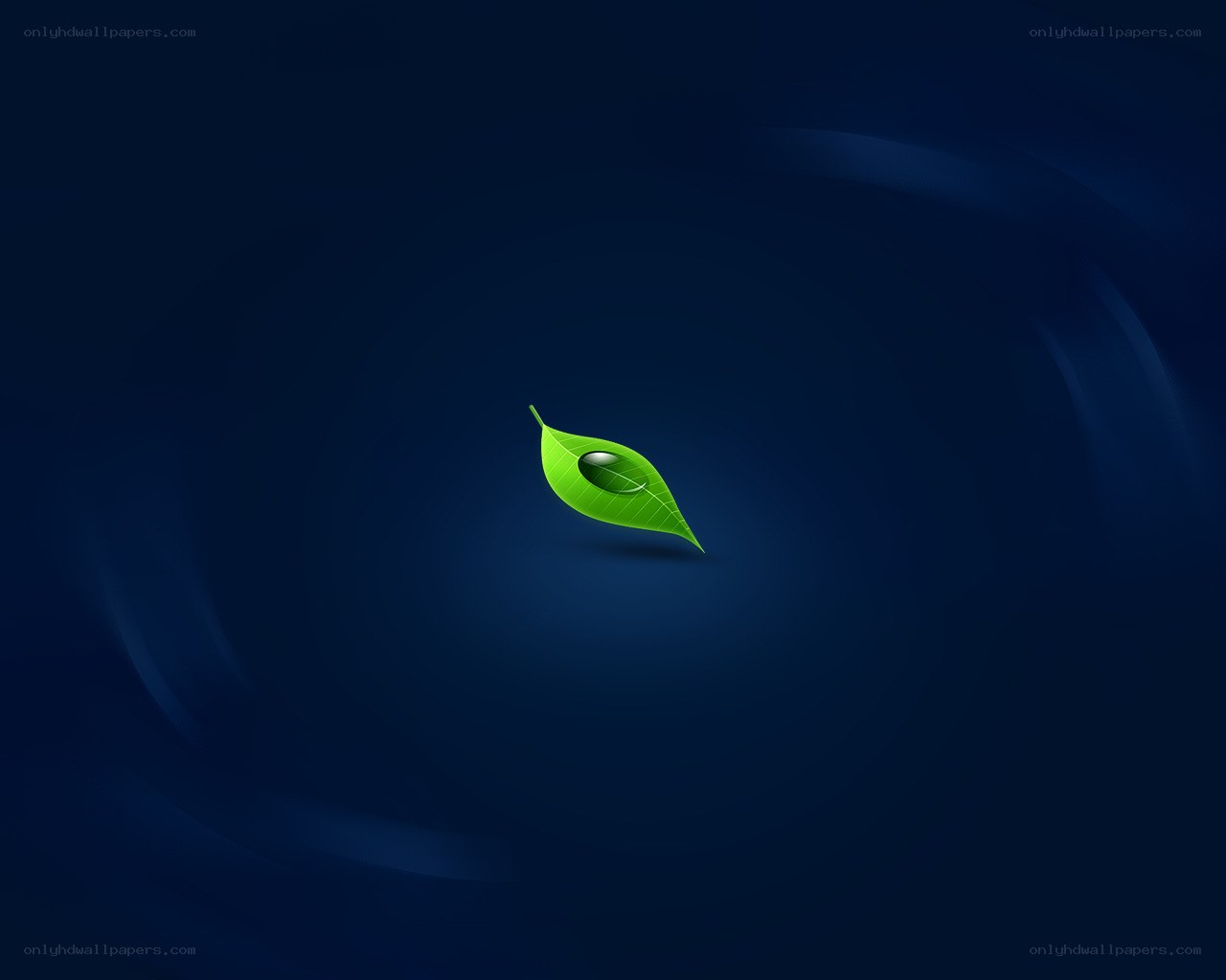 green leaf with water droplet