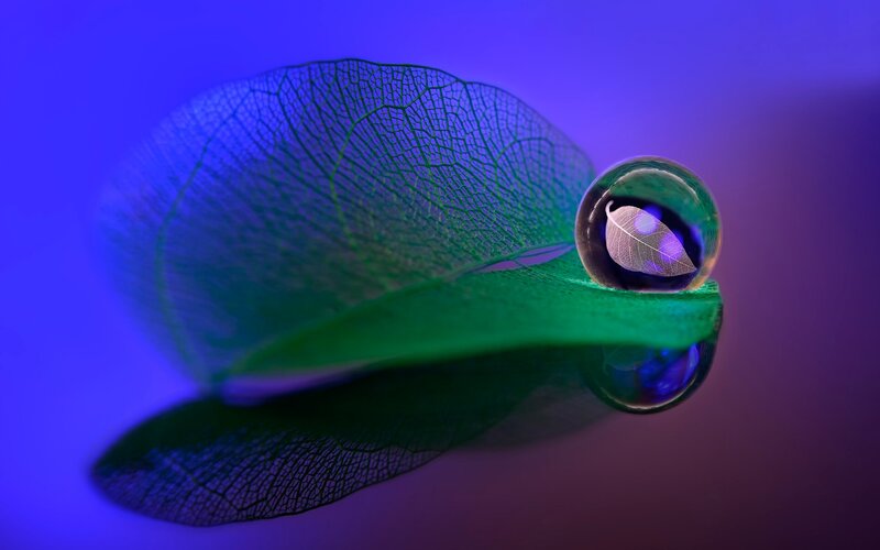 Green Leaf with Water Droplet — Blue, Serene