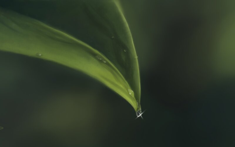 Green Leaf with Water Droplet — Serene, Digital Art, Water Droplet, Black