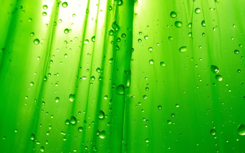 green leaf with water droplets