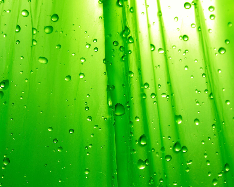 Green leaf with water droplets