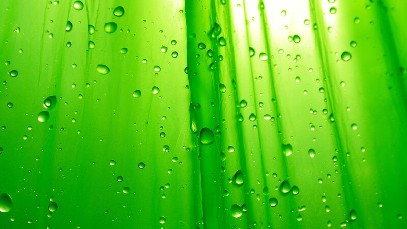green leaf with water droplets