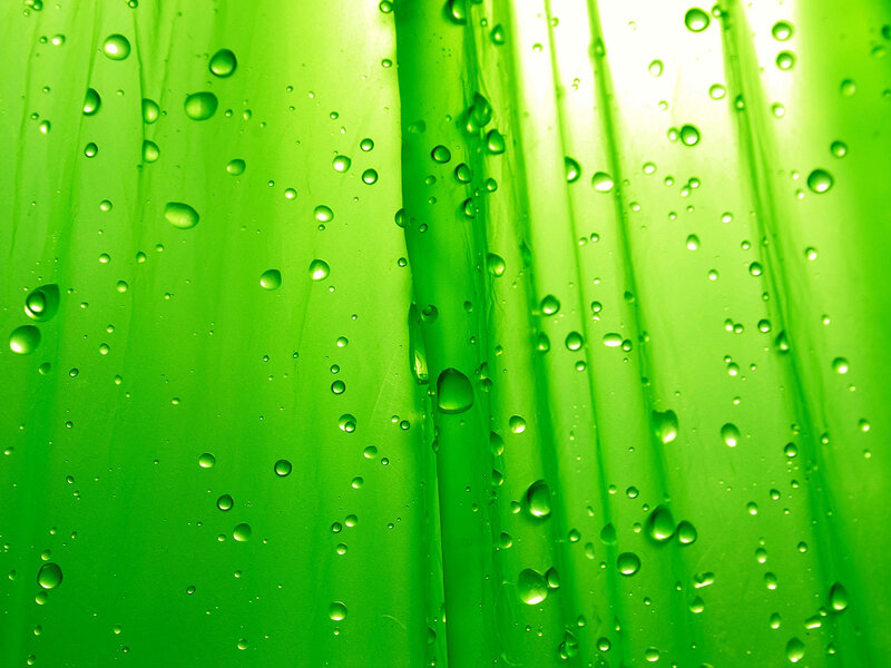 Green leaf with water droplets