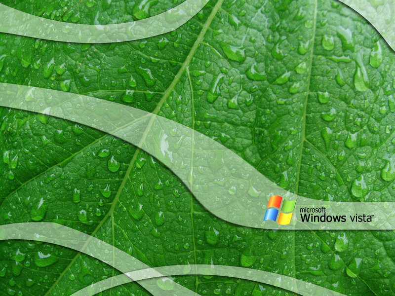 Green Leaf with Water Droplets — Calm, Photograph, Water Droplets, Leaf Veins, Logo