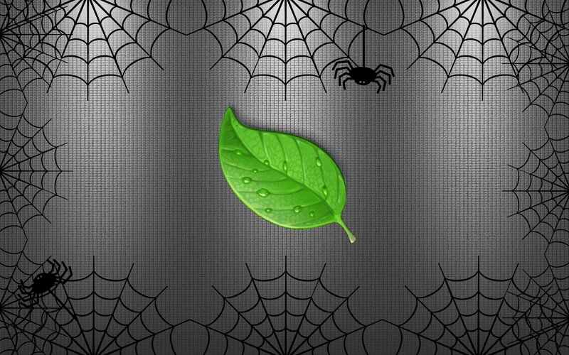 Green Leaf with Water Droplets — Creepy