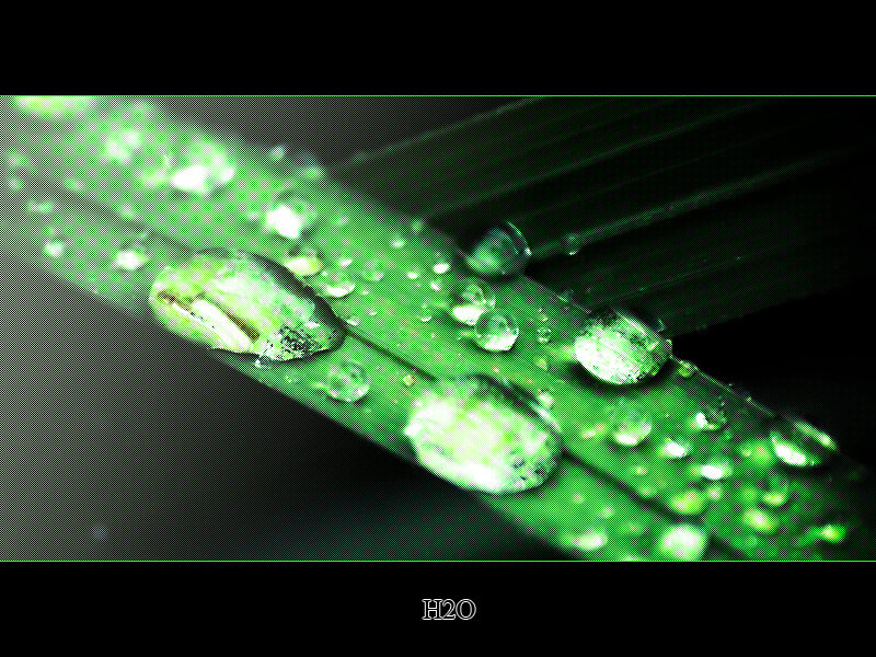 Green Leaf with Water Droplets — Dramatic, Photograph, Water Droplets, Black, H2o
