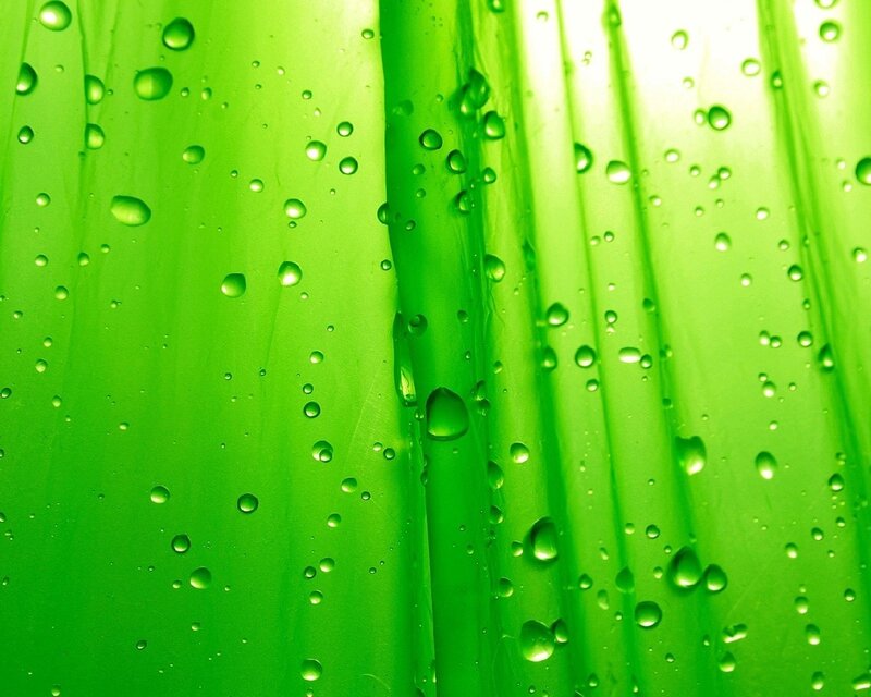 Green Leaf with Water Droplets — Light