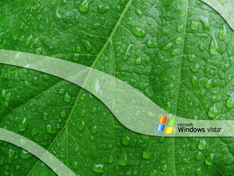 Green Leaf with Water Droplets — Natural