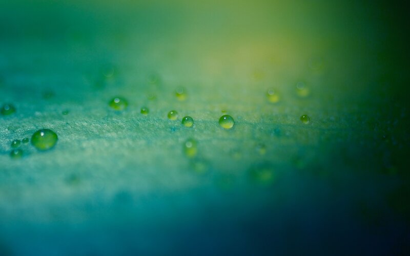 Green Leaf with Water Droplets — Serene, Photograph, Water Droplets, Leaf Surface