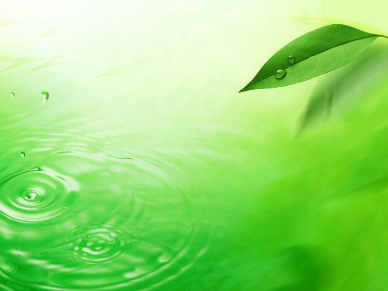 Green Leaf with Water Droplets — Serene, Photograph, Water Droplets, Ripples, White