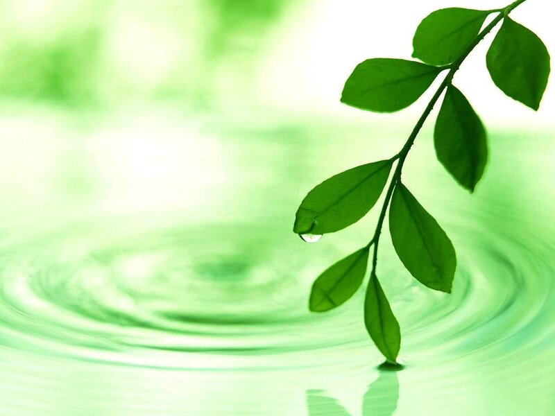 green leaf with water ripple