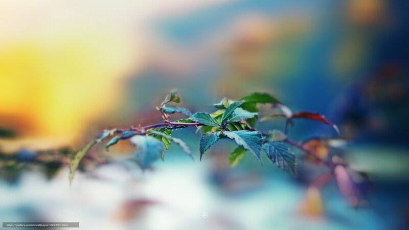 Green Leafy Branch — Blue, Serene