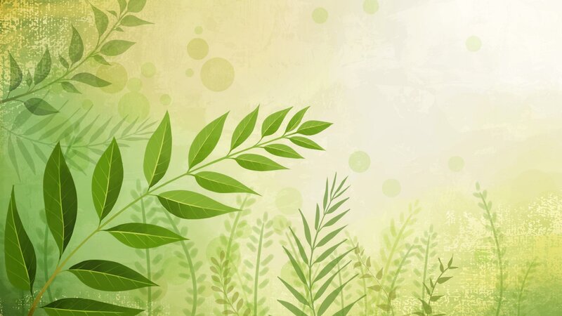 Green Leafy Branches — Calm, Illustration, Leaves, Stems