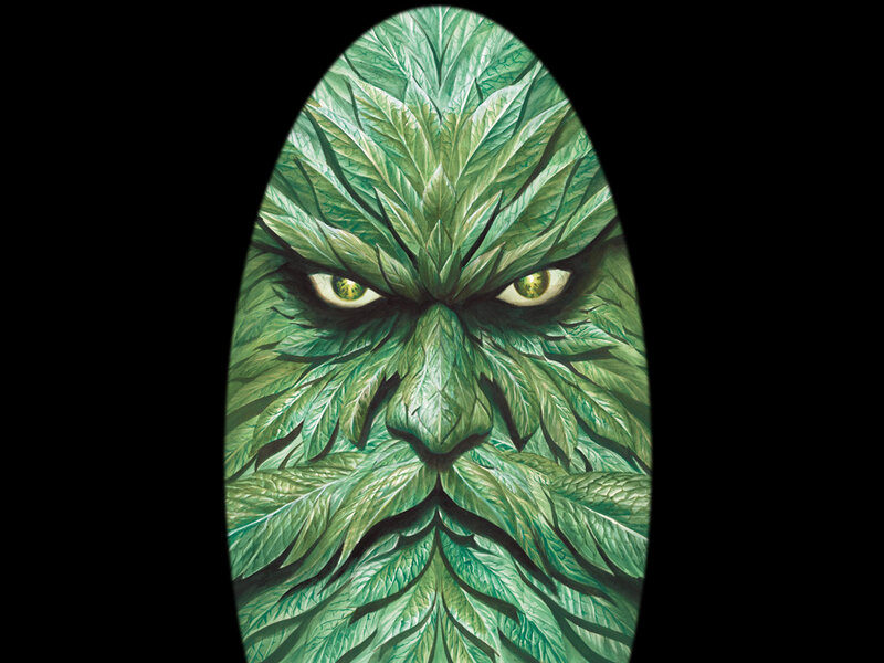 Green Leafy Face