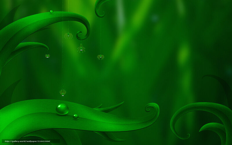 Green leafy forest scene