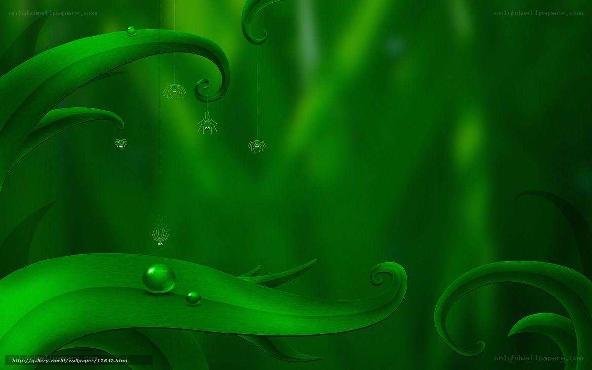 Green leafy forest scene