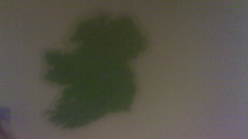 Green Leafy Plant — Blurry