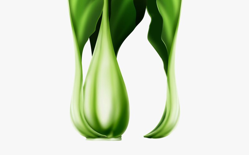 green leafy vegetable close-up